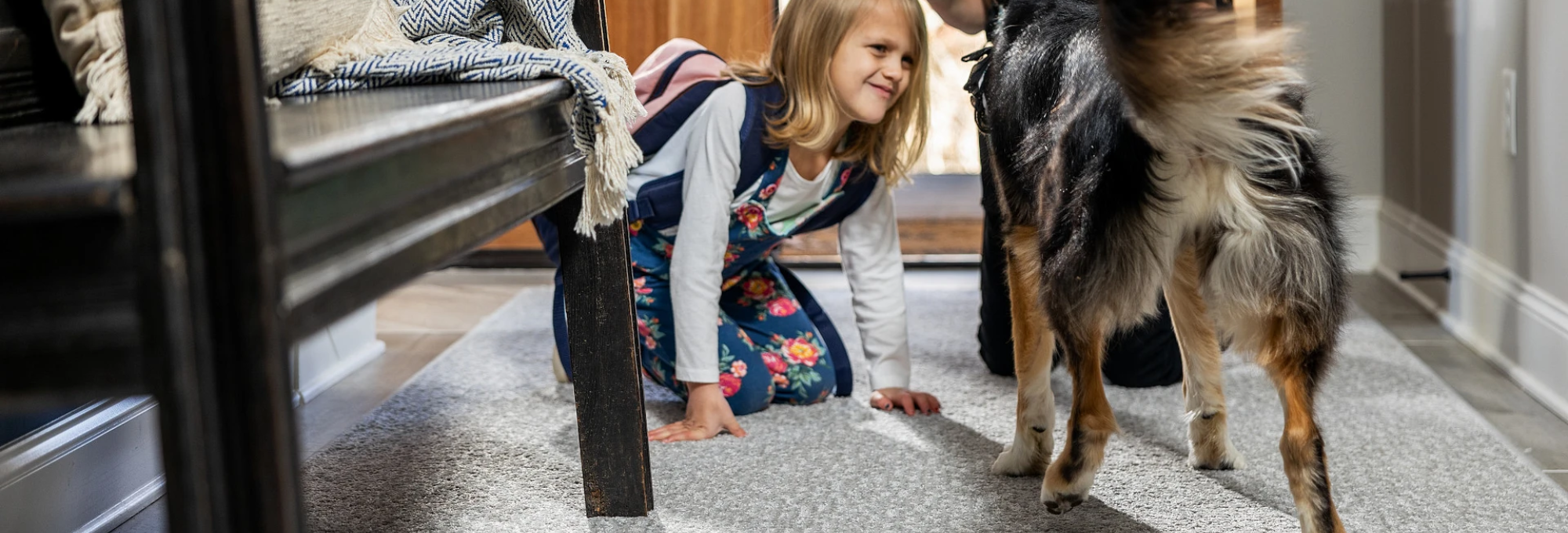 Shaw-Flooring-Carpet-Blue-With-Dog-And Kids-2024-From-Potomac-Carpet-And-Tile